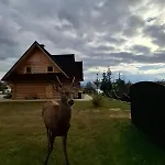 Czas Na Gory I Las, Dom Z Bala, Sauna * Czorsztyn